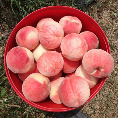 202307131689232255478933.jpg t035d19765b38effe5d.jpg