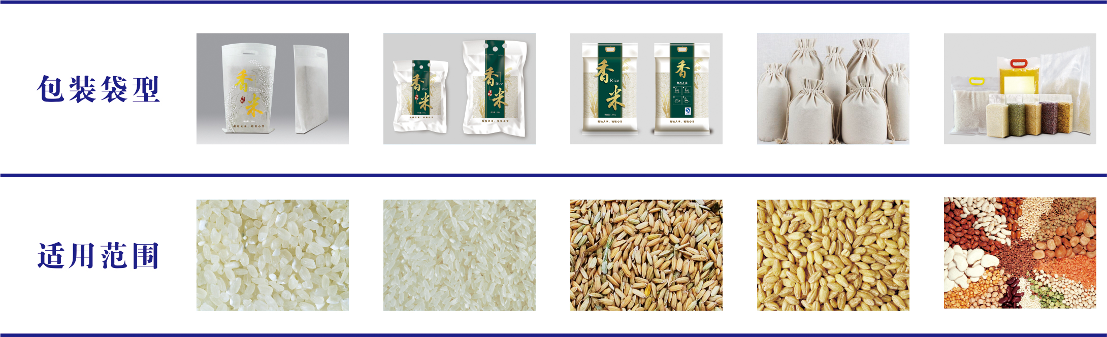 202108031627963348274065.jpg 2 (2).jpg